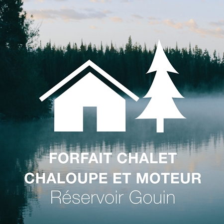 Image de Forfait Chalet, chaloupe et moteur au Réservoir Gouin